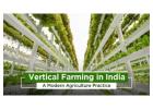 The Vertical Farming Method and Advantages in India