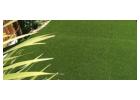 Looking for Garden Pebbles at Budget-Friendly Prices?