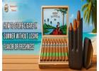How to Store Cigars in Summer Without Losing Flavour or Freshness