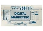 Get a Step Ahead of Competitors with the Best Digital Marketing Company in Jalandhar