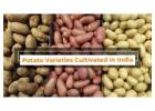 The Varieties of potatoes in India and their Nutritional Value
