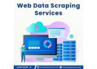 Best Web Data Scraping Services in India