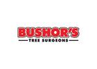 Bushor’s Tree Surgeons