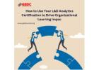 How to Use Your L&D Analytics Certification to Drive Organizational Learning Impact