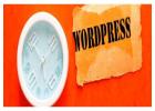 WordPress Development Services in Ahmedabad