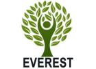 PE Gloves | Hubei Everest