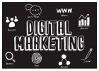 Create Impact with the Best Digital Marketing Agency in Jalandhar