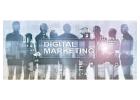 Accelerate Your Growth with the Leading Digital Marketing Company in Jalandhar