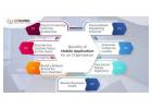 Mobile Application Development Company In Bangalore