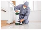 Termite Pest Control Sydney