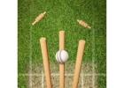 Best Cricket Turf Manufacturer – Order Now