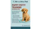 Puppy Potty Training in Bangalore