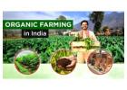 The Organic Farming Types and Methods of Farming