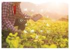 Software For Growers