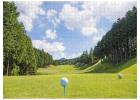 Golf Puzzles