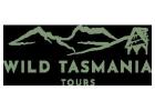 Hobart to Cradle Mountain Tour: Explore Tasmania