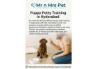 Puppy Potty Training in