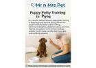 Puppy Potty Training in