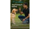 Dog Training in