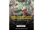 Annual Strategy Support for Serious Elk Hunters
