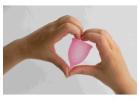 Affordable Menstrual Cup Price at Shecup