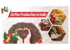 The Coffee Cultivation and Varieties in India.