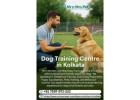 Expert Dog Training Centre in