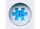 Mold Consultant Group