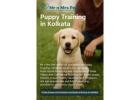 Puppy Training in Kolkata
