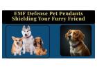 EMF Defense Pet Pendants: Shielding Your Furry Friend, The Ultimate Guide