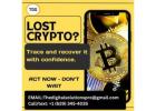 Fast & Reliable Crypto Recovery with The Digital Solution