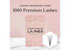 Level Up Your Lash Look with 12D Volume Extensions