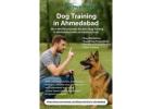 Experienced Dog Training in