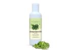 Curry Leaves Infused Oil