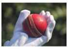 T20Live Cricket Enthusiasts Connect Worldwide Daily