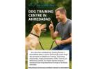 Experienced Dog Training Centre in