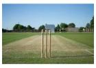 Upgrade Your Cricket Ground with an Artificial Cricket Pitch