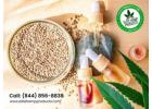 Relax, Refresh, Repeat – Visit Our CBD Store