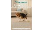 Experienced Puppy Potty Training in