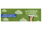 Types of Working Capital Loans for Business Needs