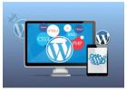 Professional WordPress Web Development Dubai Services