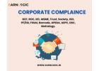 Digital Signature Certificate (DSC)