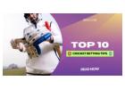 Top 10 Cricket Betting Tips That Actually Work in 2025