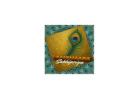 Elegant Green Faux Georgette Suit for Women – Sakhi Priya