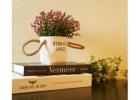Shop Home Decor Online – Unique Styles & Free Shipping