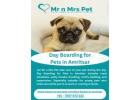 Day Boarding for Pets in