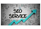 Skilled Goldman Dubai SEO Company