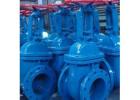 GATE VALVE MANUFACTURERS IN INDIA