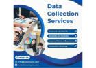 Best Data Collection Services in India