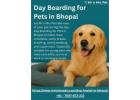 Day Boarding for Pets in